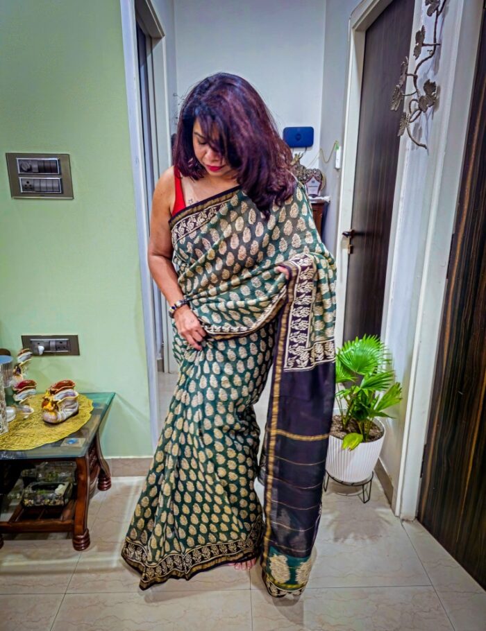 Chanderi Bagru Sarees