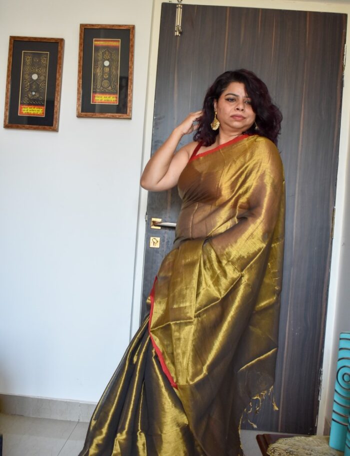 DSC_0422 Handwoven Tissue Silk Saree