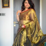 Elegant Tissue Silk Saree