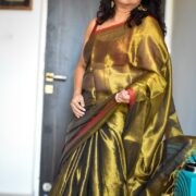 Tissue Silk Saree Son Rangi