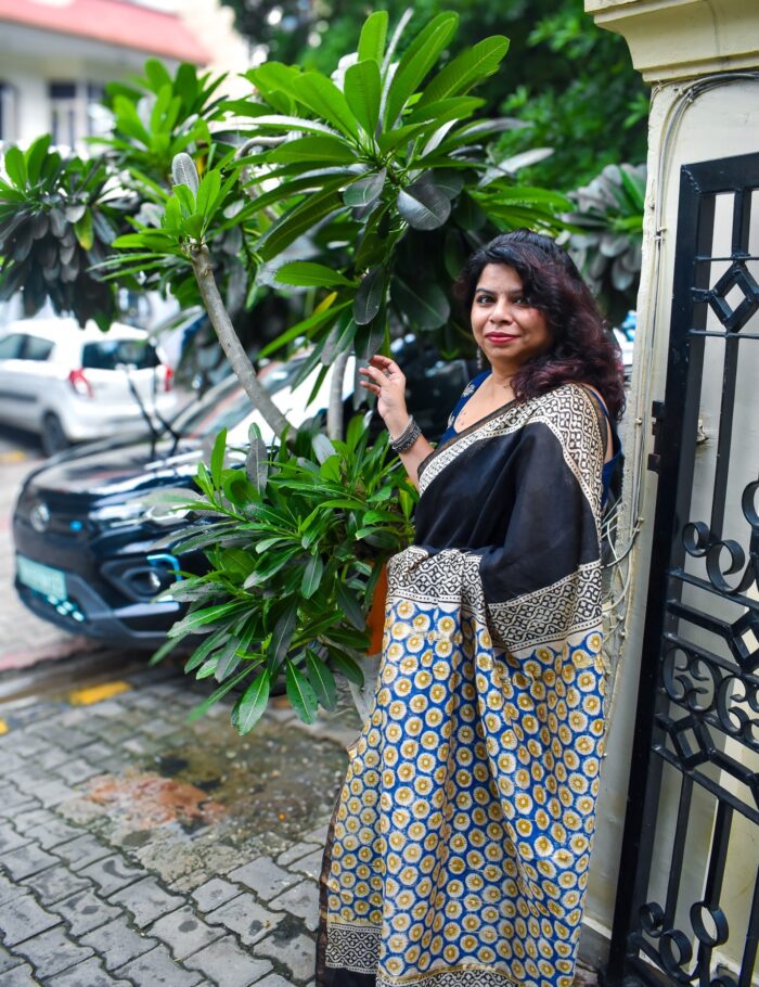 DSC_0794 Shadow Stars Chanderi Saree