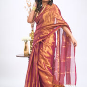 Model in glossy tissue saree