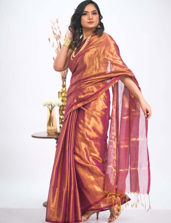 DSCF2717 Model in glossy tissue saree