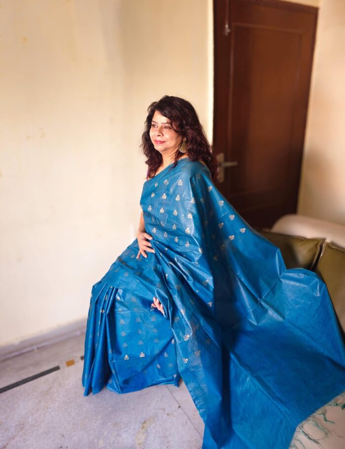 Blue Lagoon Katan Silk Saree