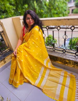 Jupiter zari linen saree in shimmering hues