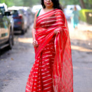 Mohini collection red/gold Banarasi organza saree