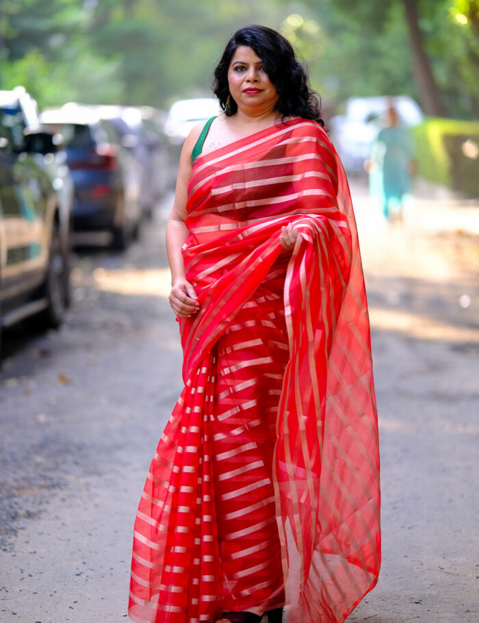 DSCF0801 Mohini collection red/gold Banarasi organza saree