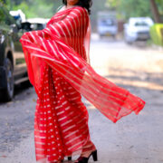 Mohini red and gold Banarasi organza silk saree
