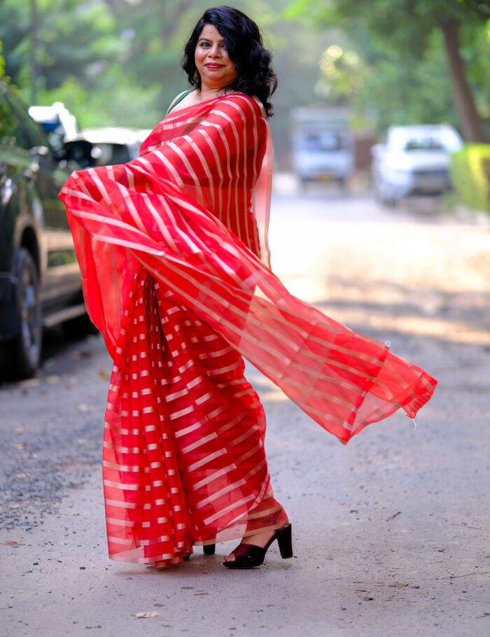 DSCF0806 Mohini red and gold Banarasi organza silk saree