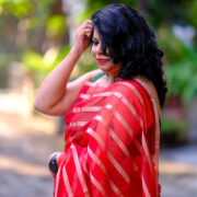 Luxury red and gold Banarasi organza silk saree