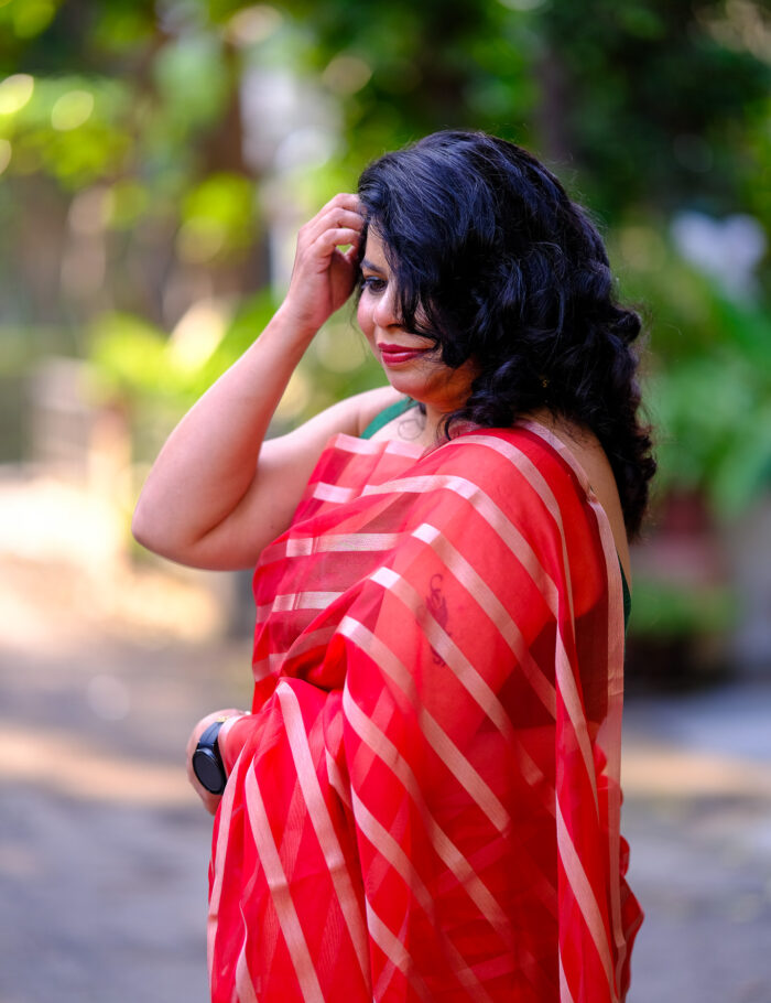 DSCF0810 Luxury red and gold Banarasi organza silk saree