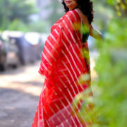 Red organza Banarasi silk saree with gold weaving