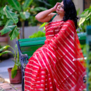 Mohini Red & Gold Banarasi Organza Silk Saree