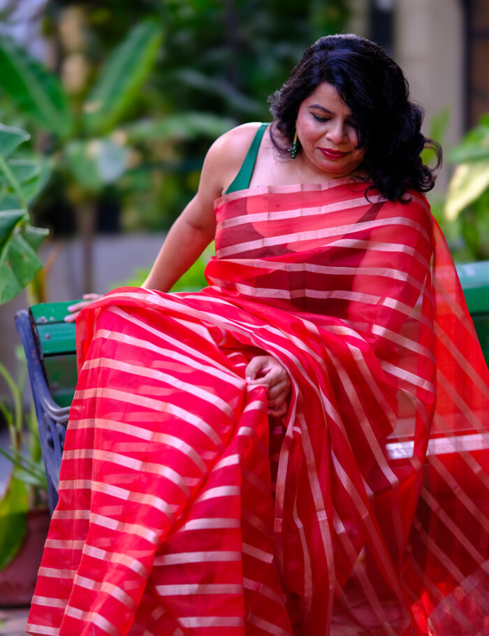 DSCF0820 Red Banarasi organza silk saree with gold design