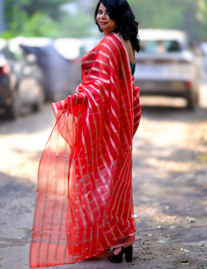 DSCF0834 Red & gold Banarasi organza silk saree — Mohini