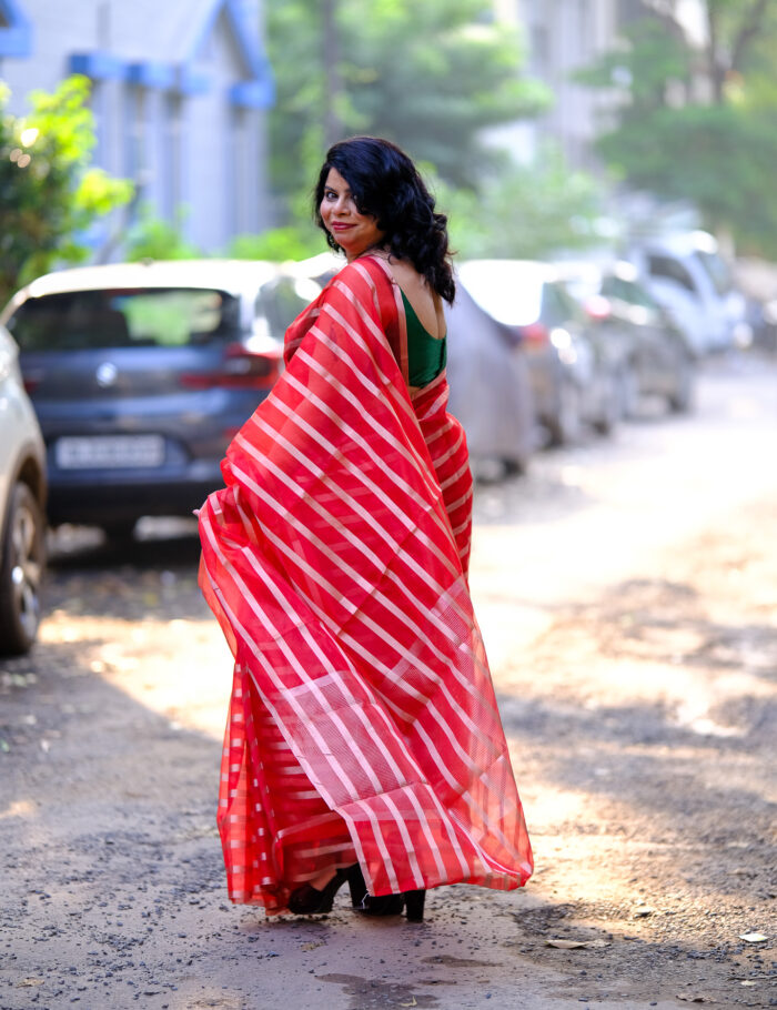 DSCF0837 Mohini red and gold silk saree Banarasi organza fabric
