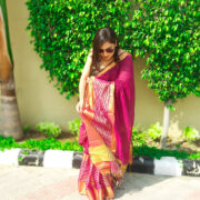 Gulmohar Linen Saree with Zari Border