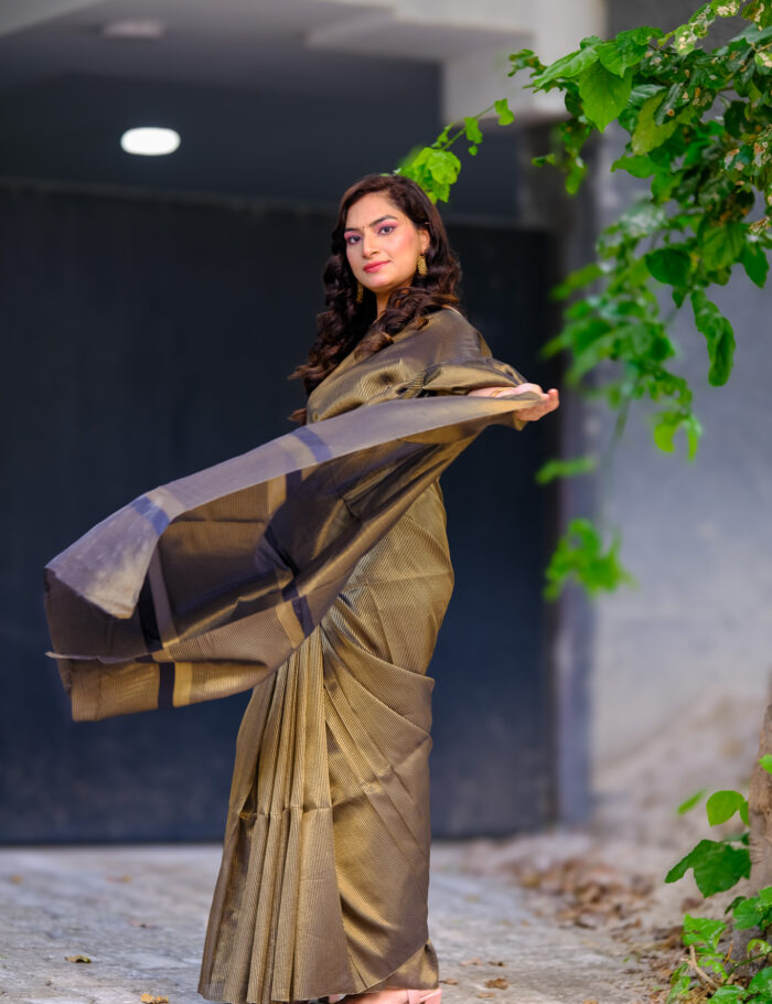 Organza silk saree in Sunheri Saaya design with zari detailing