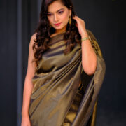 Sunheri Saaya organza saree richly woven with golden zari