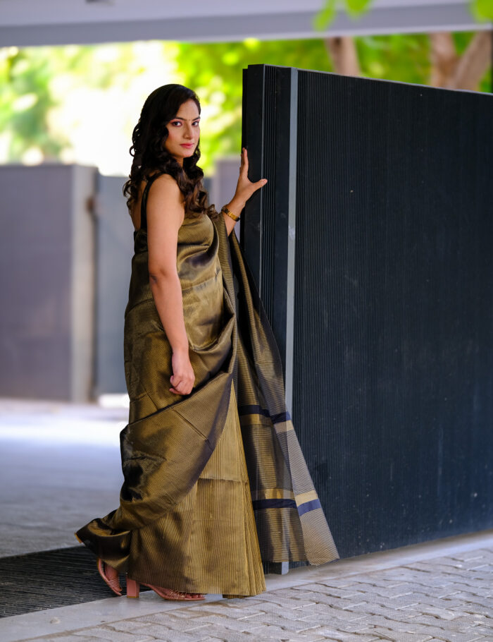Sheer Sunheri Saaya saree in organza silk and gold zari