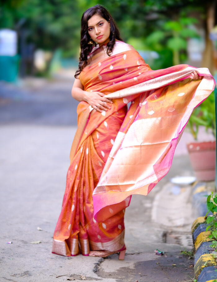 DSCF0866 Banarasi silk drape with an ornate zari border and rich texture.