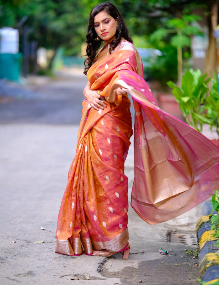 DSCF0867 A classic Banarasi silk saree featuring a metallic zari border.