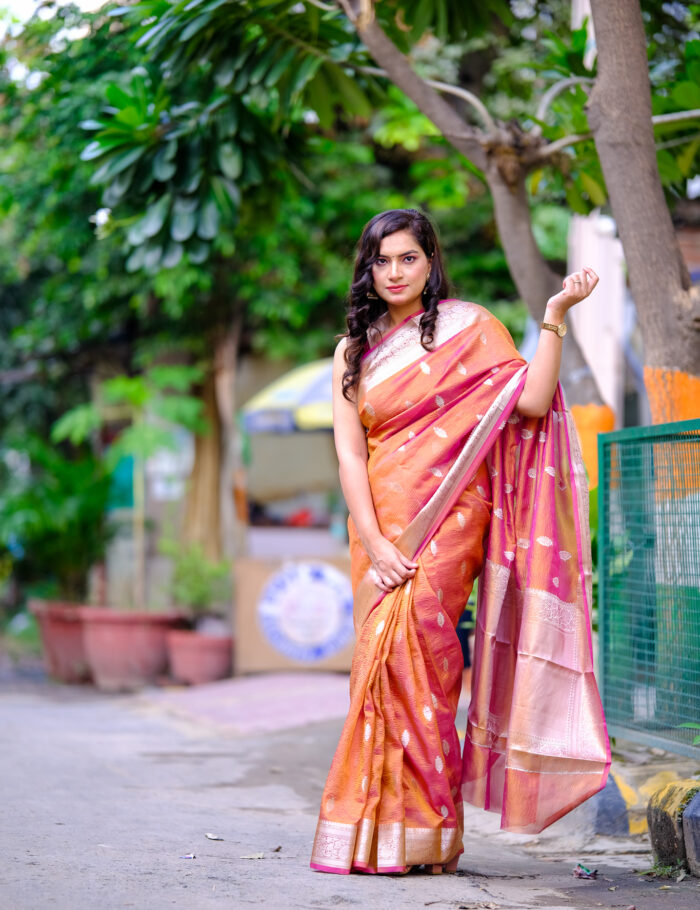 DSCF0872 A rich Banarasi silk saree with gold zari border draped artfully.