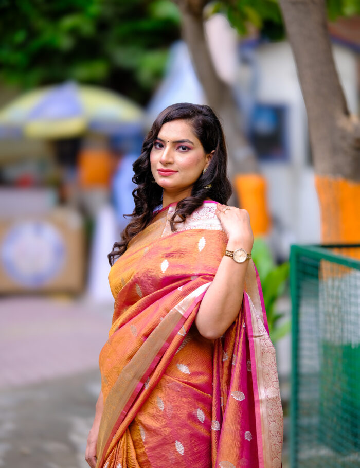 DSCF0873 Traditional silk saree from Banaras with shimmering zari border.