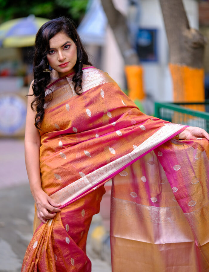 DSCF0876 Banarasi silk sari with intricate zari border detail.