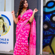 Traditional Bagru block print saree “Pankhuri”